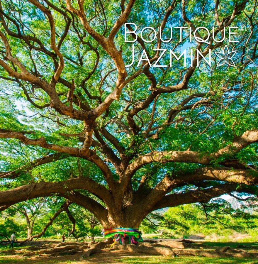 알리칸테 Boutique Jazmin 아파트 외부 사진